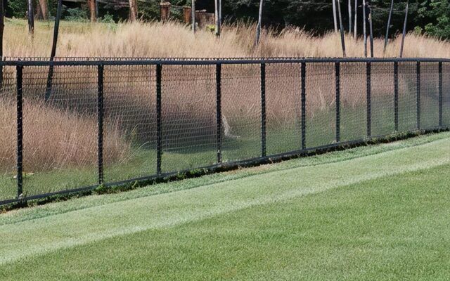 Chain Link Fence – 2